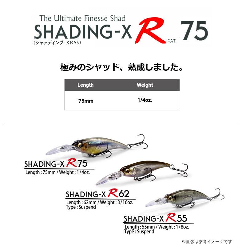 Megabass（メガバス） SHADING-X R75F シャッディング-X R75F
