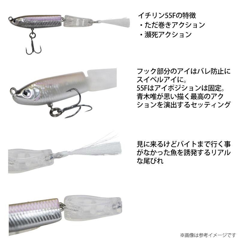 ディスタイル DSTYLE イチリン 55F 蕾 【メール便配送可】 【まとめ