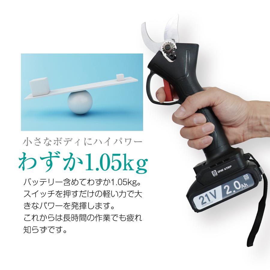 剪定ばさみ 電動 ケース付き 園芸用 コードレス 充電式 剪定ハサミ 剪定ばさみ 電動 ケース付き 園芸用 コードレス 充電式 剪定