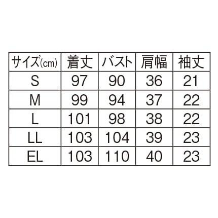 アンファミエ ナース服 白衣 ワンピース 医療用 クリニック 歯科医