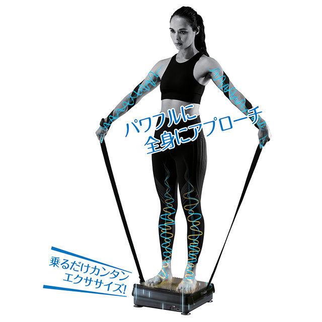 ルルド シェイプアップボード EMSシートセット ダイエット器具