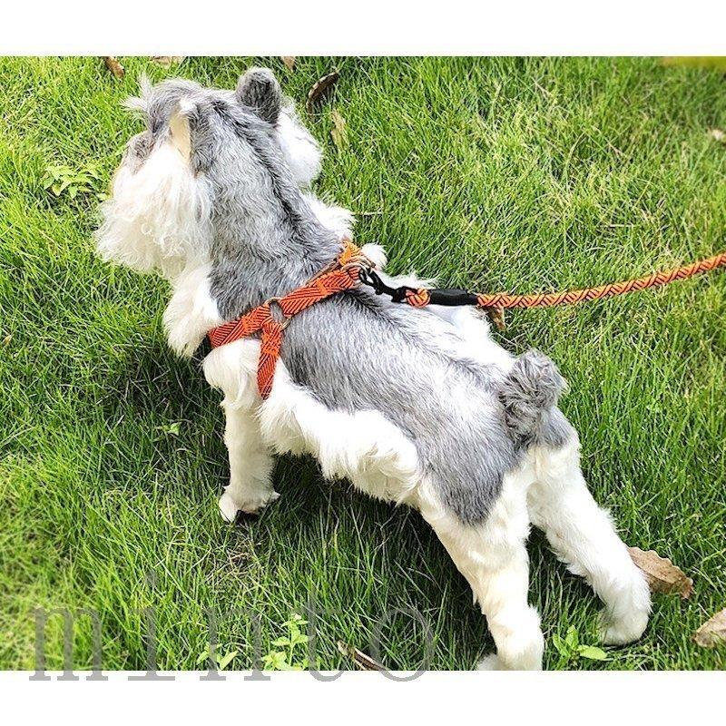 ハーネス リード 小型犬 犬用 小型犬 リード 中型犬 大型犬 おしゃれ 猫用