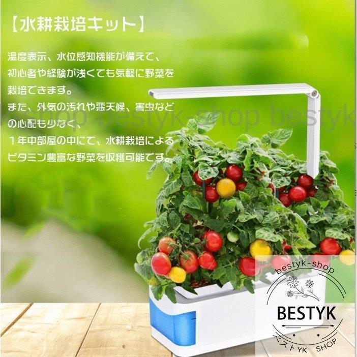即納 最大半額 水耕栽培キット 植物育成ライト付き 家庭用水耕栽培 植物栽培キット 育苗 育成 スマートガーデナー 発芽キット グローランプ 温室野菜 植物 Sanmaria Com Br
