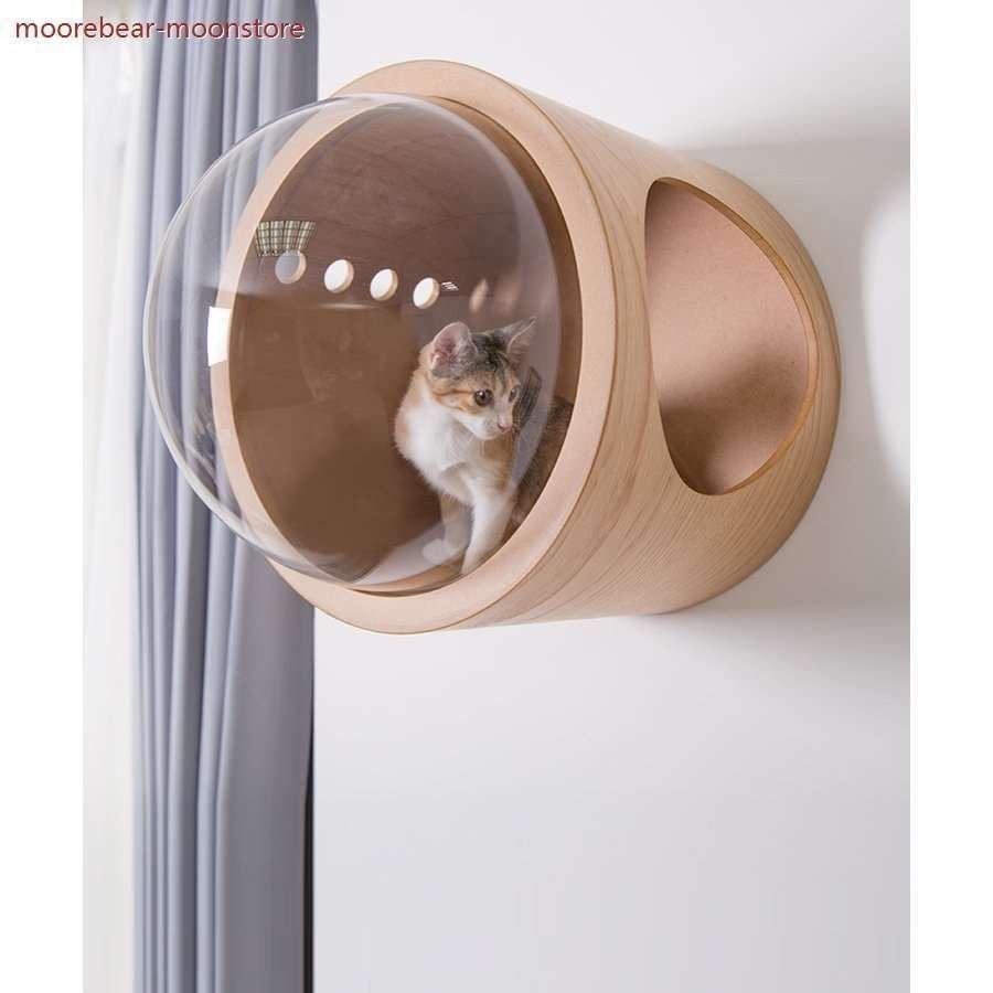 かわいい 木製 壁 猫ハウス 猫用 猫家具 ベッド キャットハウス Myzoo マイズー 宇宙船アルファ ネコハウス Dprd Jatimprov Go Id