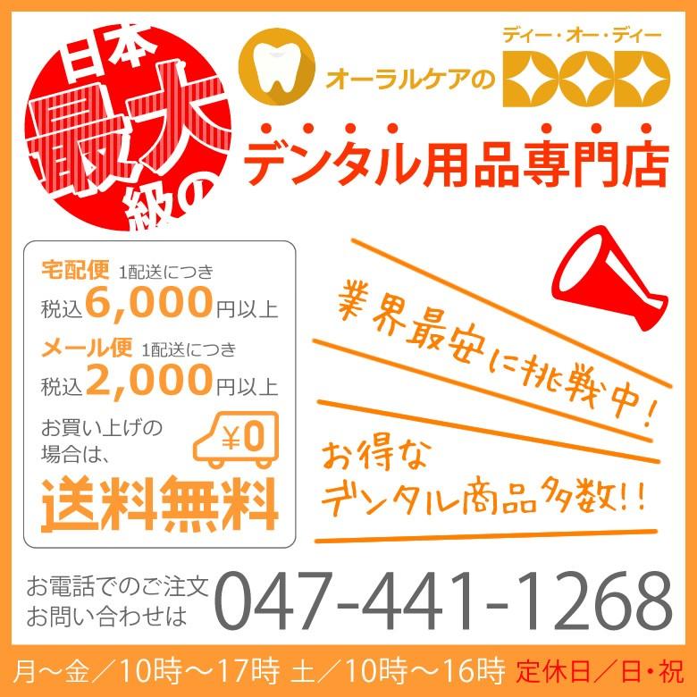 抗菌加工入れ歯ケース 大 1個 メール便不可 即発送｜info-dod｜03