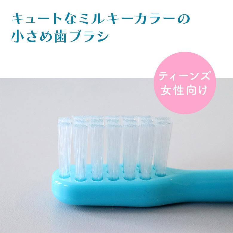 Ciメディカル 歯ブラシ Ciミニ歯ブラシ ミディミルキー ふつう 1箱50本
