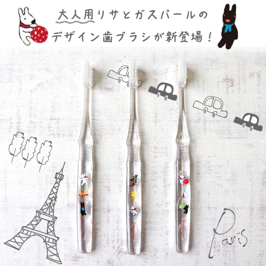 カグラザメ科3属3種の歯のセット 9/11-13限定3%OFFクーポン！3本 Ciエリート リサとガスパール Mふつう