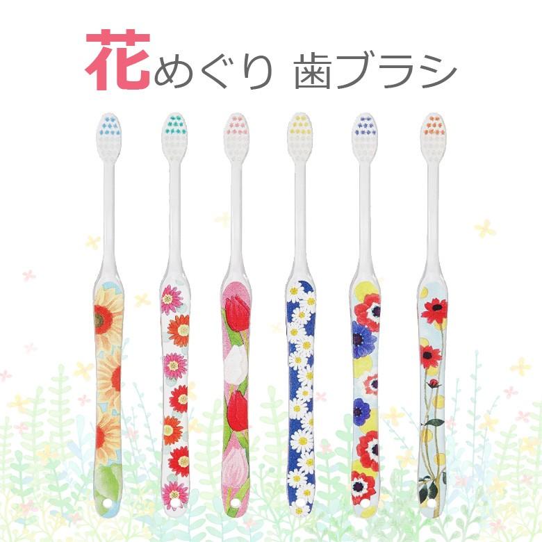 歯ブラシ 花めぐり 6本セット メール便可 2セットまで : オーラルケア