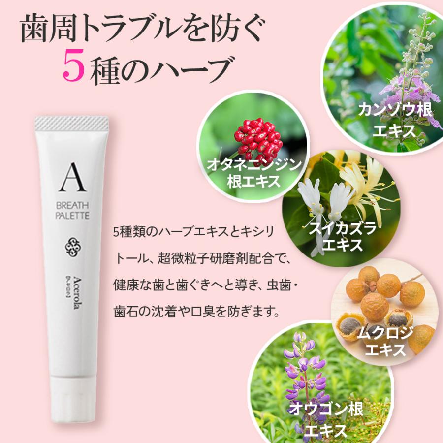 2/22限定！5%OFFクーポン！歯みがき粉 ブレスパレット アルファベット