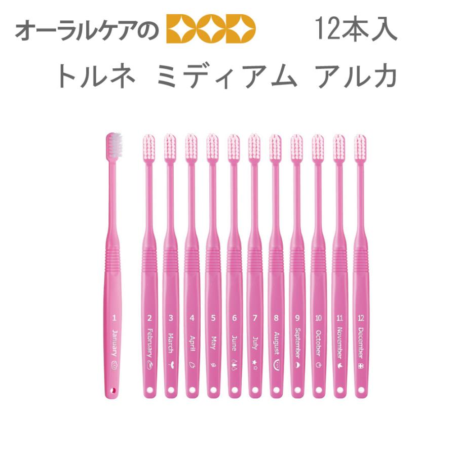12/19〜21限定！5%OFFクーポン！歯ブラシ 1年歯ブラシ アルカ トルネ
