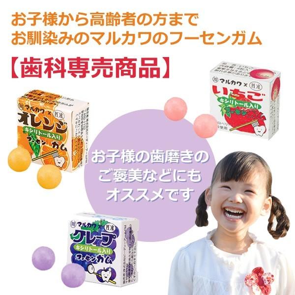 マルカワ キシリトール入り マーブルガム 4粒入り X 24個 駄菓子 だ液力 メール便不可|info-dod|03