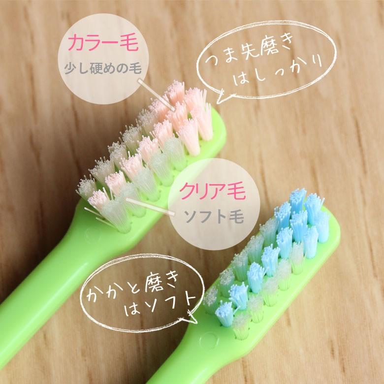 Ciメディカル 7/22限定5%OFFクーポン！歯ブラシ 歯科医院専用商品 Ci