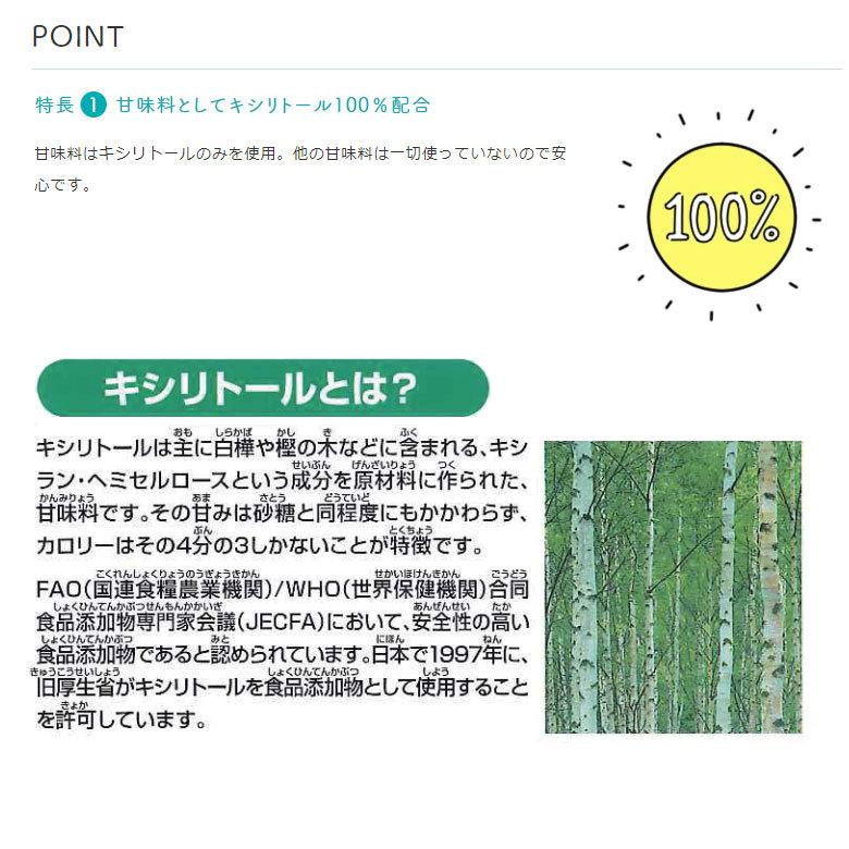 歯科専用 キシリトールガム ラミチャック オーラルケア 35g 3袋 キシリトール ガム メール便可 3セットまで|info-dod|04