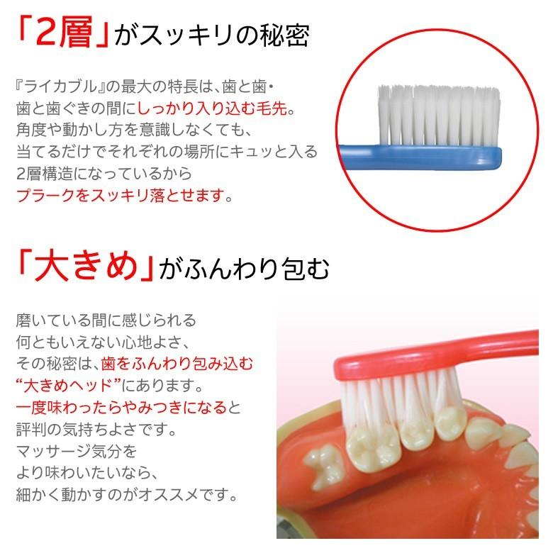 9/11-13限定3%OFFクーポン！歯ブラシ オーラルケア ライカブル メンテナンス用 12本セット メール便可 1セット12本まで メール便送料無料 | Oral Care | 02