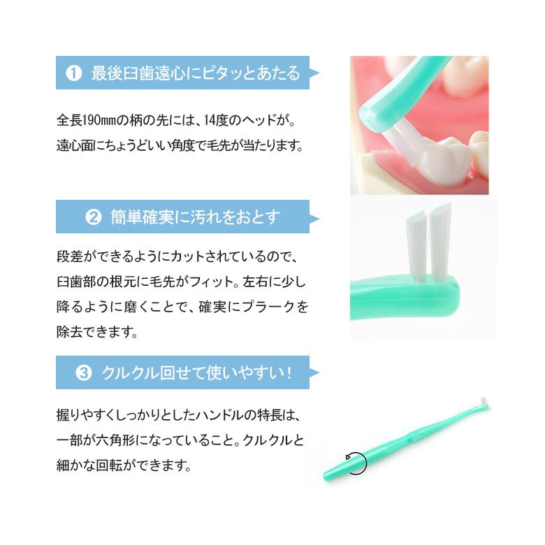 Oral Care（オーラルケア） 2/27-3/1限定！5%OFFクーポン！歯ブラシ