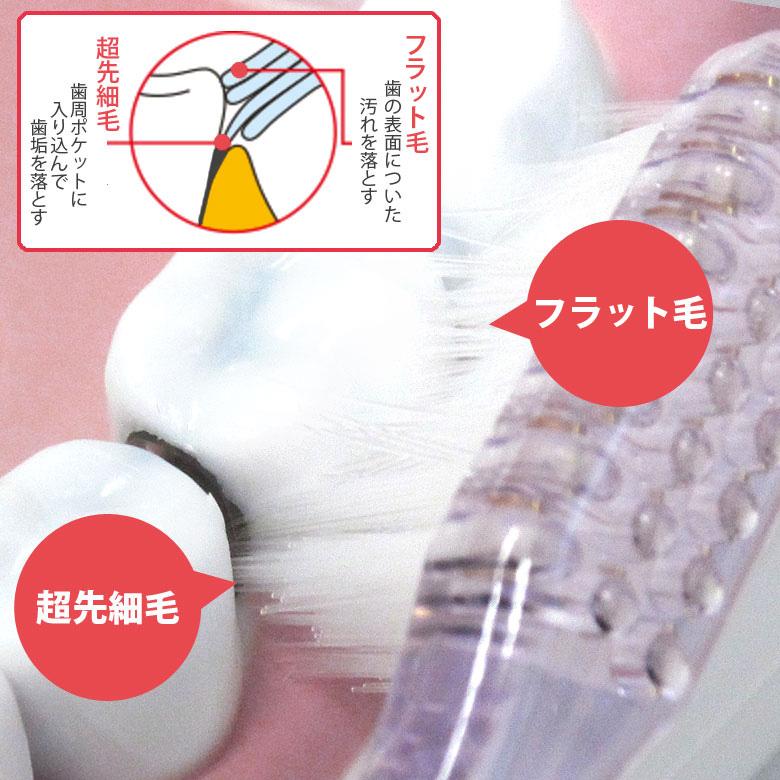 4/25.26限定！5%OFFクーポン！歯ブラシ Ci PRO AD 超先細+フラット毛 50本 1箱 メール便不可 即発送 | Ciメディカル | 02