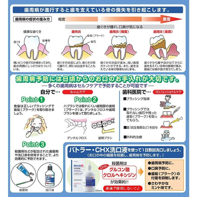 サンスター バトラー マウスウォッシュ CHX洗口液 250ml 6本 メール便不可 即発送｜info-dod｜03