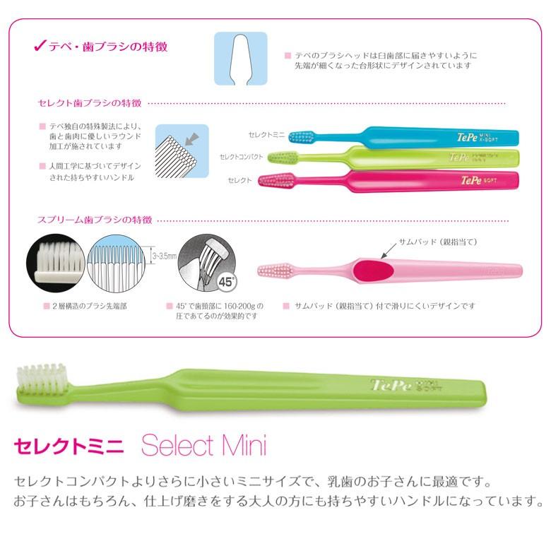 TePe 9/15限定3%OFFクーポン！歯ブラシ テペ セレクトミニ 1本 面白い