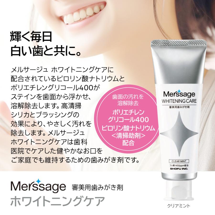 松風 審美用歯みがき剤 メルサージュ ホワイトニングケア 80g 1本