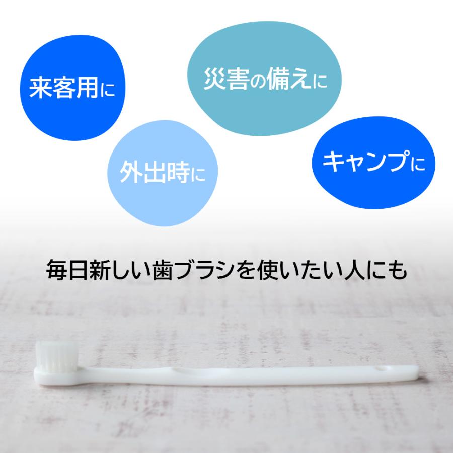 使い捨て歯ブラシ 粉付き 個包装 50本 インスタント歯ブラシ メール便