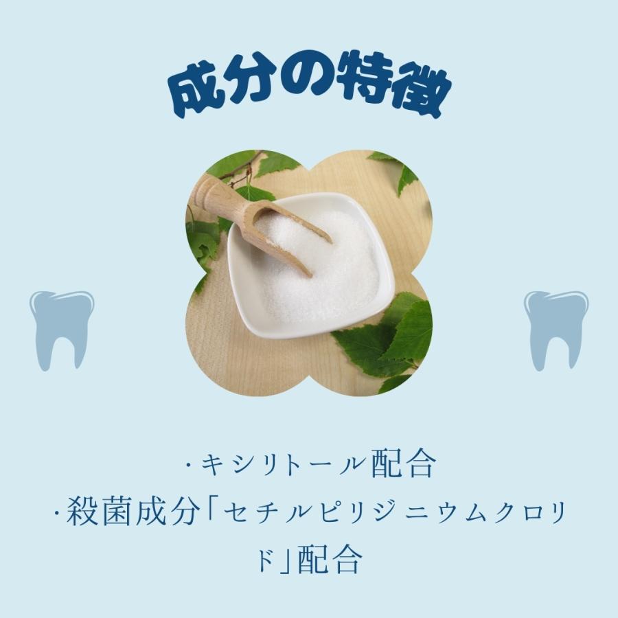ルブレン　※マウスウォッシュのみ クチュッペ L-8020 マウスウォッシュ 爽快ミント 500ml アルコール