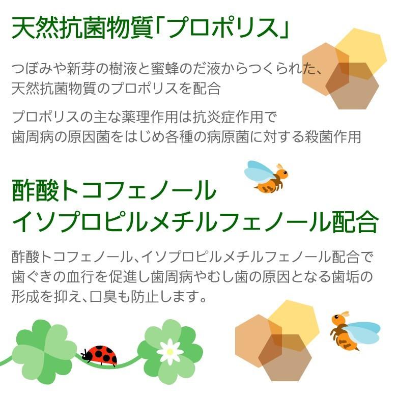 日本自然療法 薬用ハミガキ デンタルポリスDX 80g X 3本 医薬部外品 メール便不可 | 日本自然療法 | 02