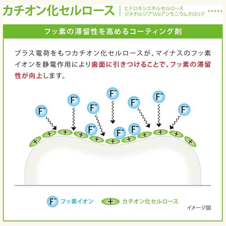 チェックアップ 3/7.8限定！5%OFFクーポン！DENT ジェル 60g 1本