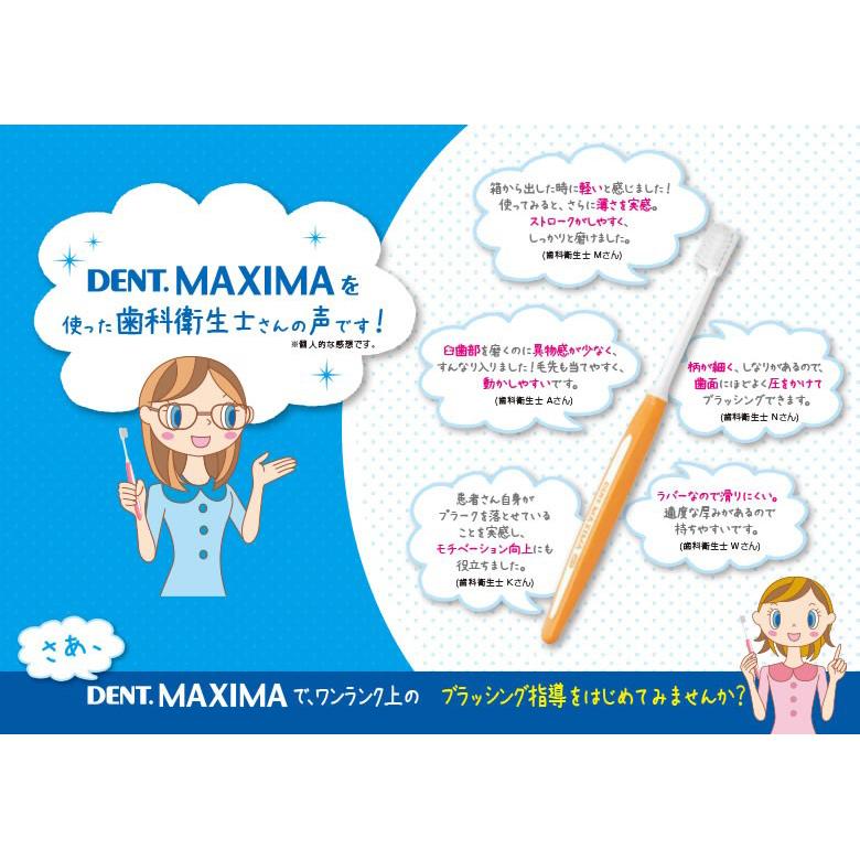 LION（ライオン） 歯ブラシ DENT MAXIMA マキシマ 4色アソート 4本入り