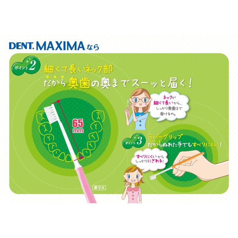 LION（ライオン） 9/11-13限定3%OFFクーポン！歯ブラシ DENT MAXIMA