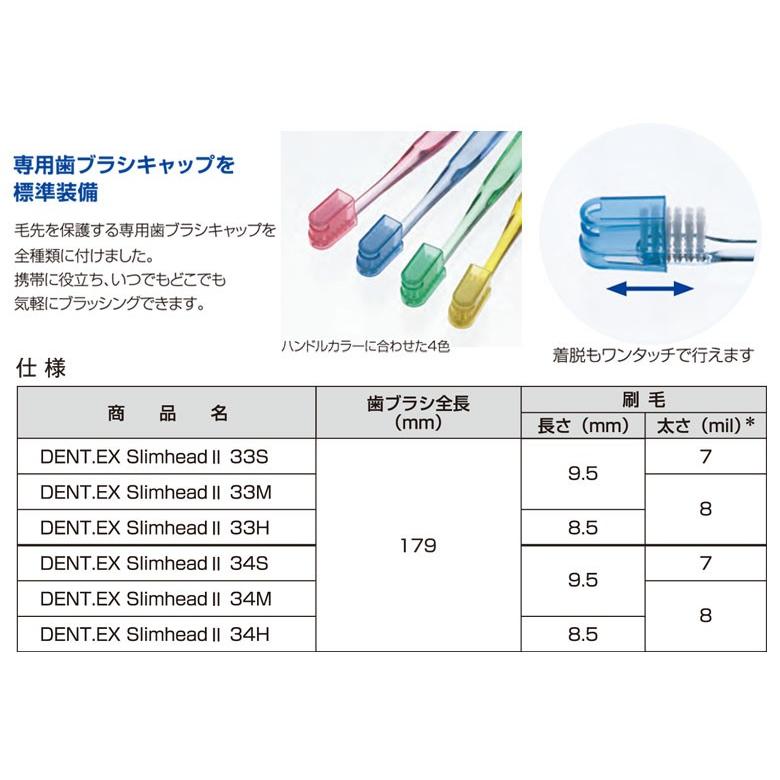 歯ブラシ DENT スリムヘッド2 4色アソート 20本入り メール便可 1セットまで メール便送料無料 即発送｜info-dod｜04