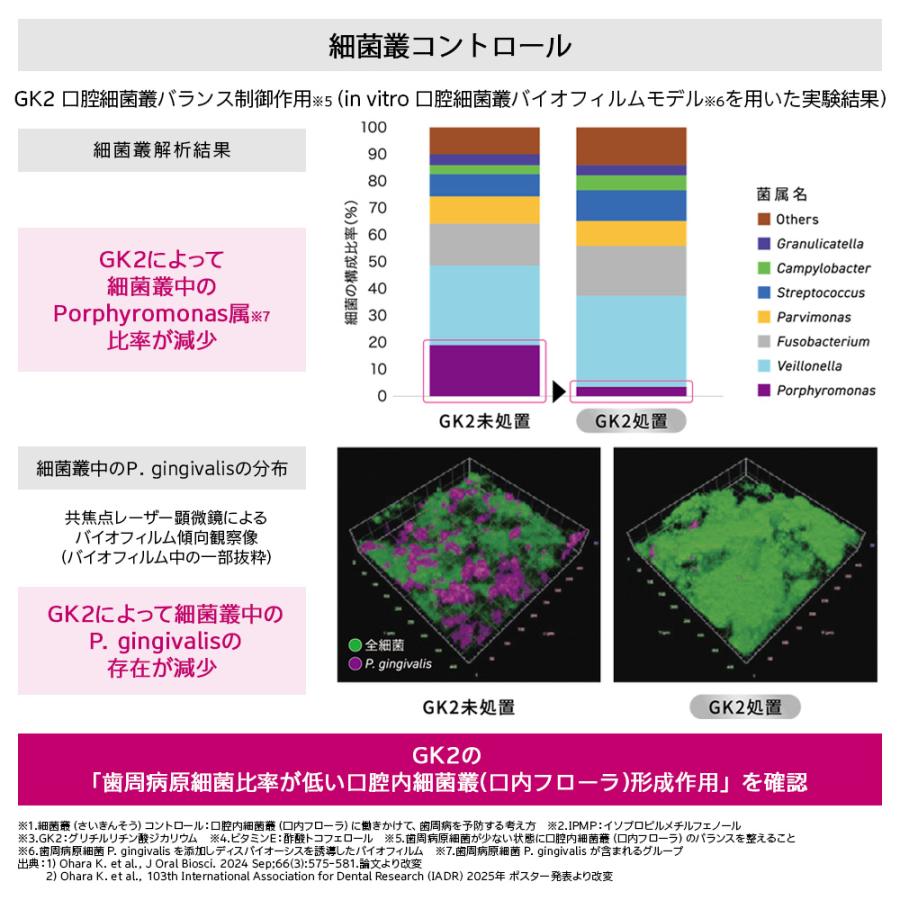 歯周病予防歯磨き粉 DENT. Systema HAGUKIPLUS P-PRO ハグキプラスP-PRO 90g 1本 1450ppmF メール便不可 即発送 | ハグキプラス | 02