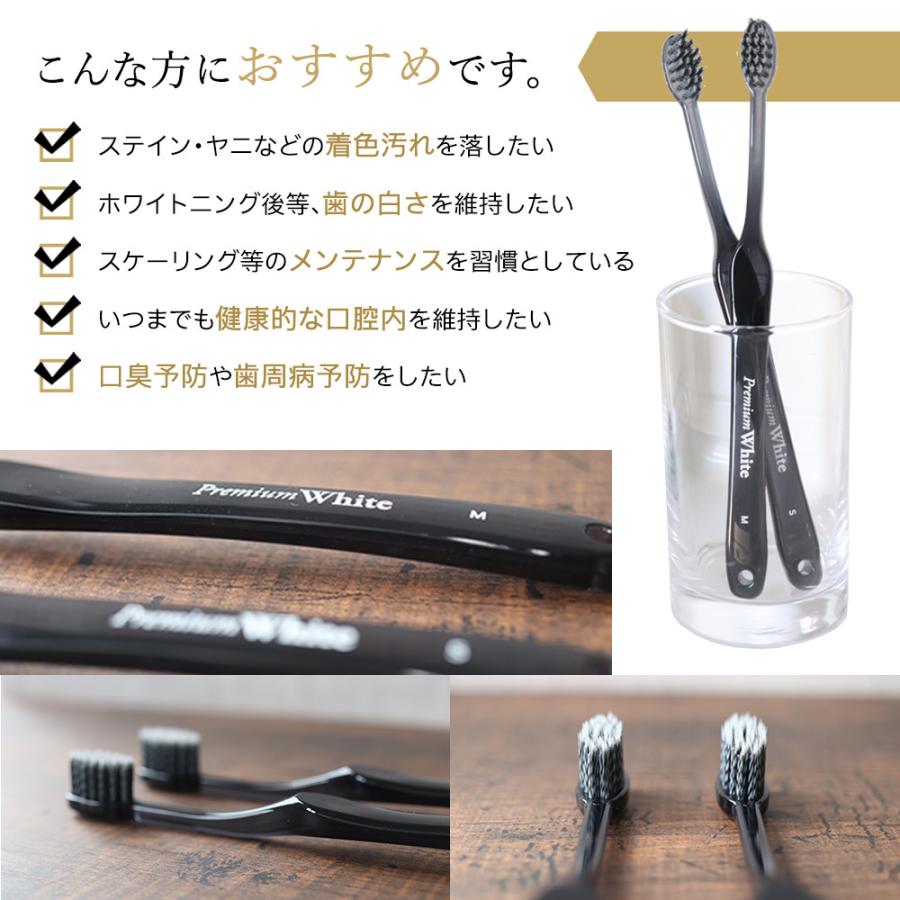 歯磨き粉 歯ブラシ 歯周病 プレミアムホワイト特別セット 歯磨き粉1本