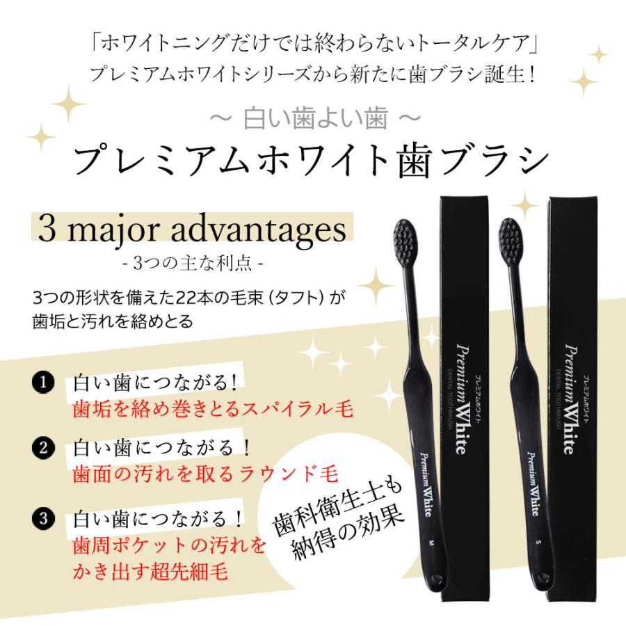 歯磨き粉 歯ブラシ 歯周病 プレミアムホワイト特別セット