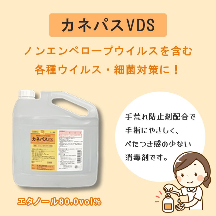 消毒液12本、専用ケース5個、中和錠300錠 兼一薬品工業 6/30.7/1限定5%OFFクーポン！兼一薬品 カネパスVDS 5L