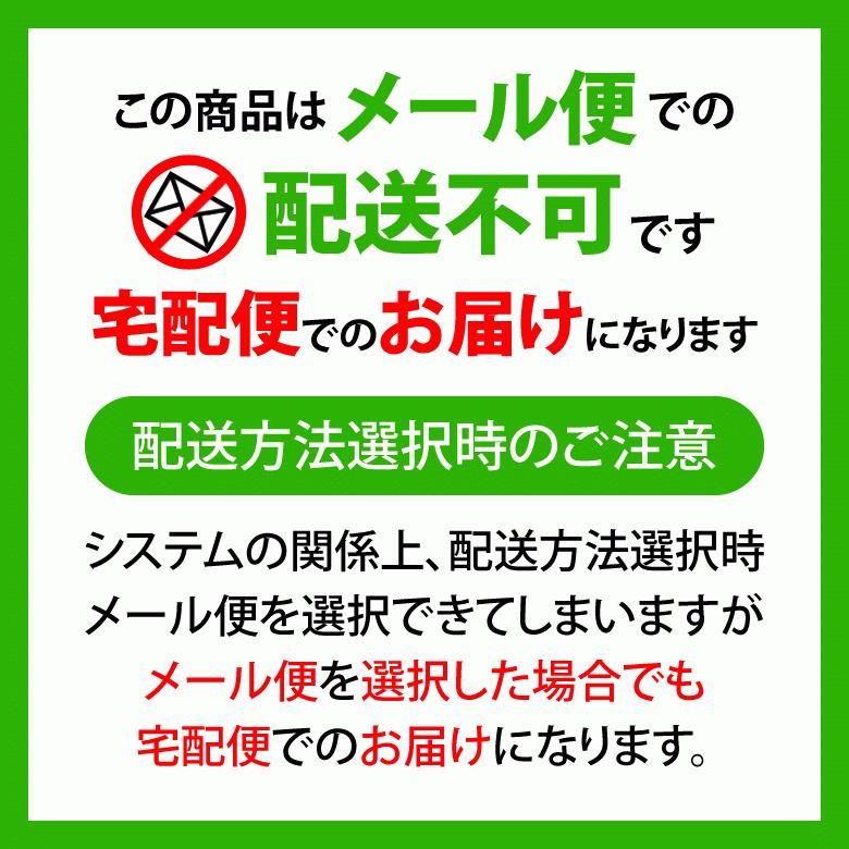 Z-DRAGON 5/30-6/1限定5%OFFクーポン！Z-DRAGON 74230 空調服(TM