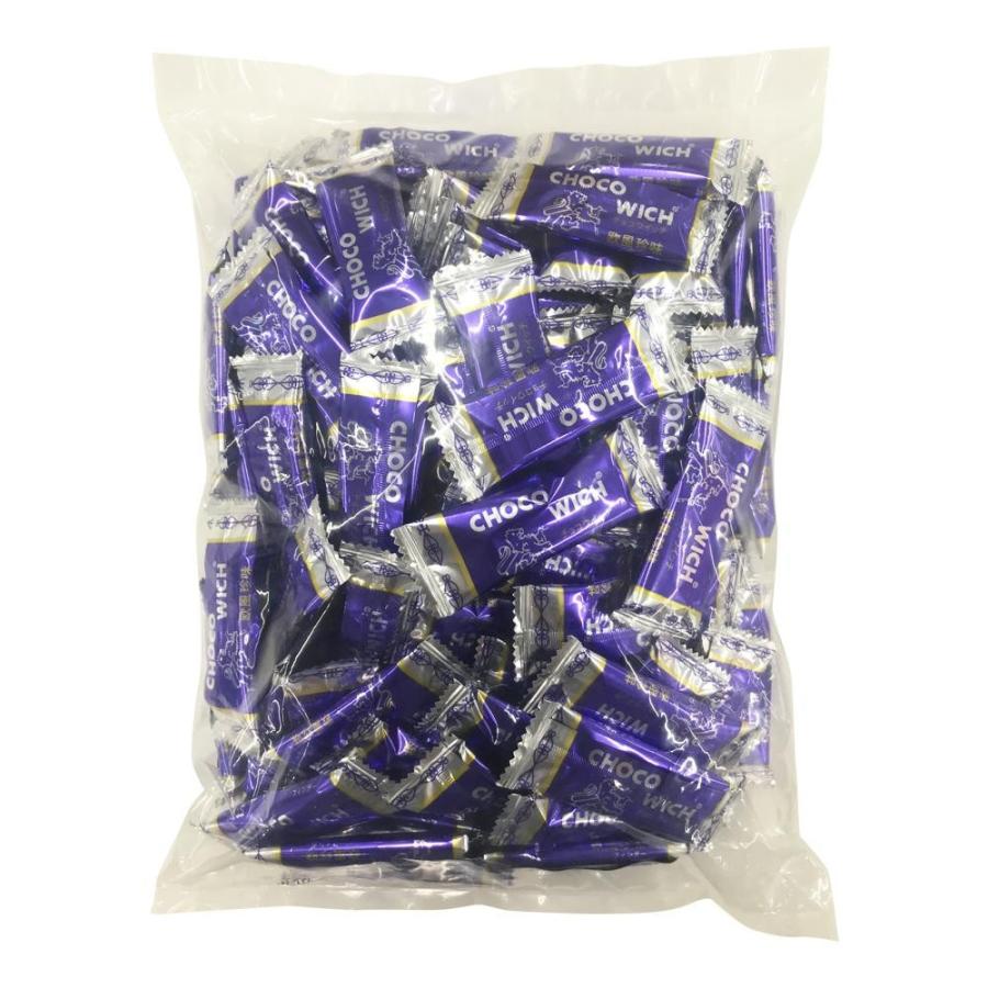 チョコウィッチ 500g×10袋 B-14