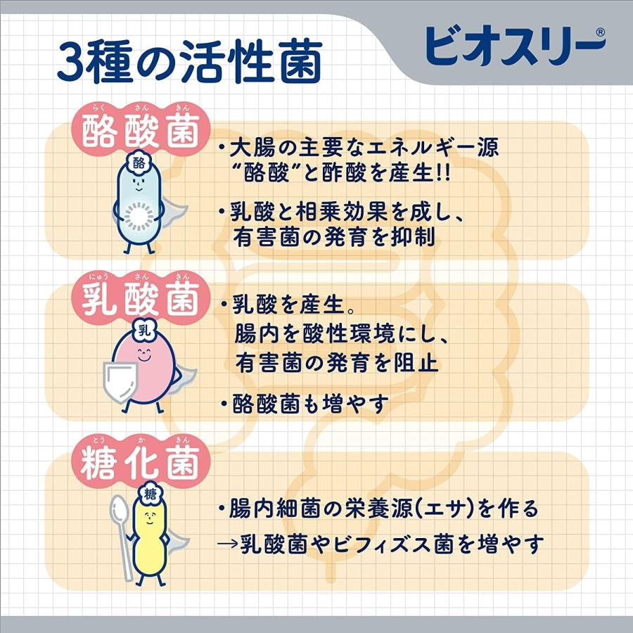 ビオスリーHi錠 270錠(45日分)×3個セット Amazon | ビオスリーHi錠 270錠（指定医薬部外品） ×3個セット