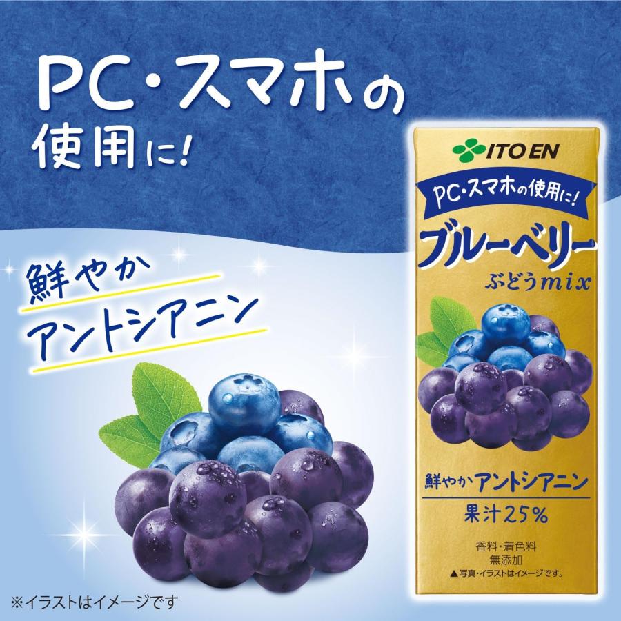 伊藤園（ITO EN） ブルーベリーミックス 200ml 24本入 紙パック