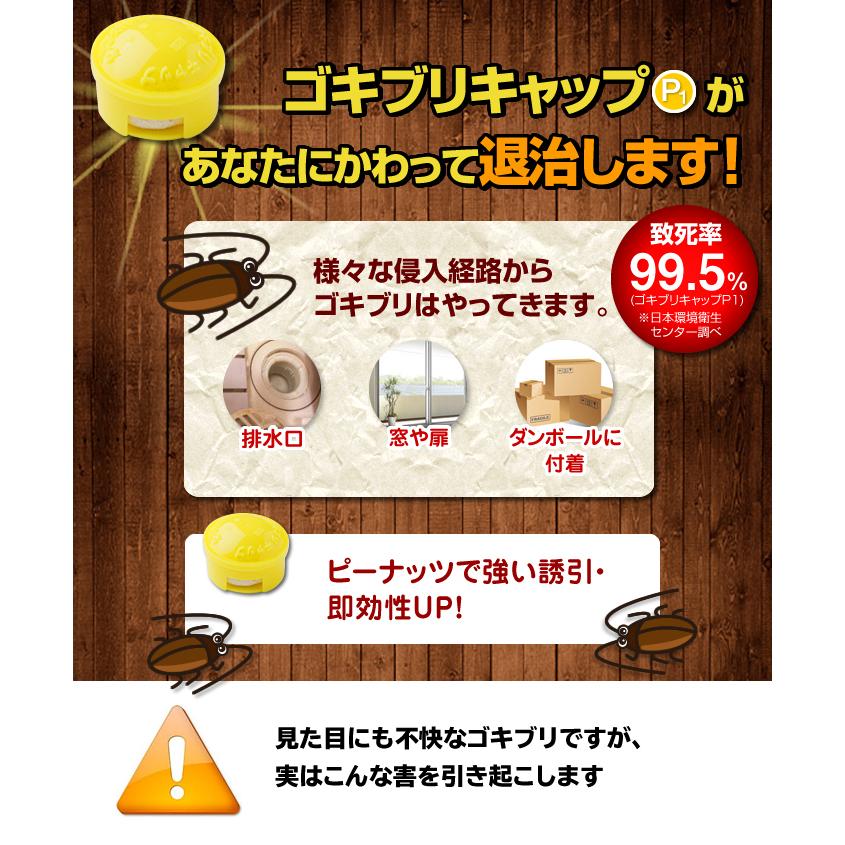 ゴキブリキャップ タニサケ 15個入 ゴキブリだんご 送料無料 ポスト投函 :inform00153:インフォマート - 通販 - Yahoo!ショッピング ゴキブリキャップ タニサケ 15個入 ゴキブリだんご 送料無料 ポスト投函 :inform00153:インフォマート - 通販 - Yahoo!ショッピング