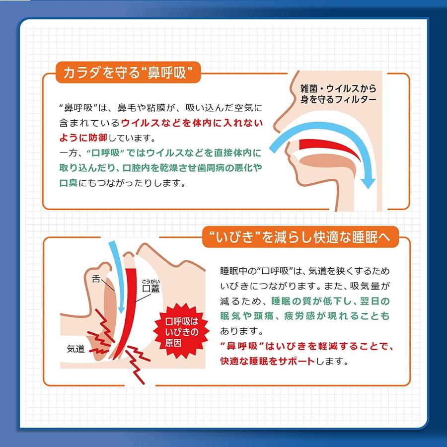 ブリーズライト スタンダード 30枚入 佐藤製薬 レギュラー 鼻孔拡張テープ ポスト投函｜infomart｜05