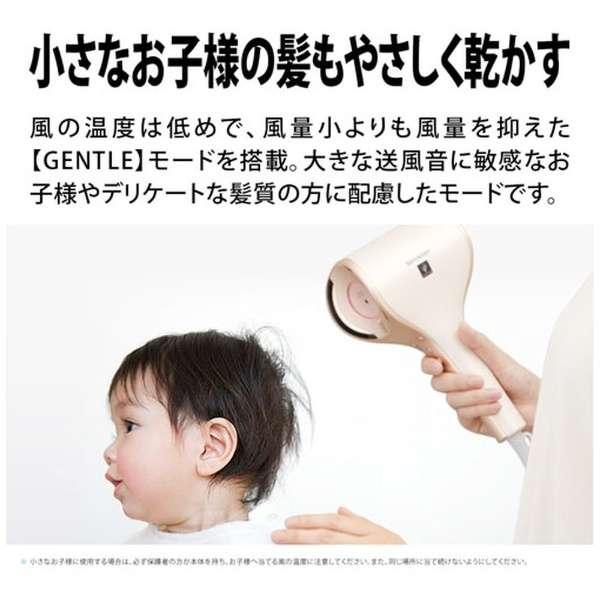 SHARP 【即日配送】シャープ(SHARP) プラズマクラスタードレープ SHARP 【即日配送】シャープ(SHARP) プラズマクラスタードレープ