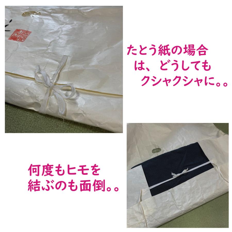 着物収納ケース プラス 着物 収納袋 3枚組 お得な着物収納セット 通気