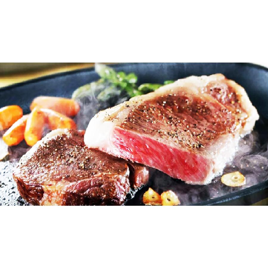 ステーキ皿 ハンドル付 本格 鉄鋳物製 ハンバーグ グリル 焼き肉 鉄板