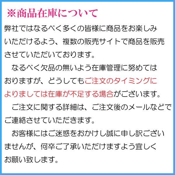 布団 収納袋 敷き布団用 活性炭シート入 シングル - シングルロング用 収納ケース 敷き布団をスッキリ収納 大きく開くファスナー 持ち手 透明窓付 通気性抜群｜iniko｜14