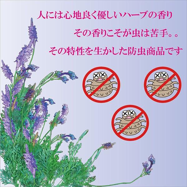 防虫剤 天然 ハーブ ラベンダー 100% 4個 プラス おまけ1個付 防虫剤 天然 ハーブ ラベンダー 100% 4個 プラス おまけ1個付