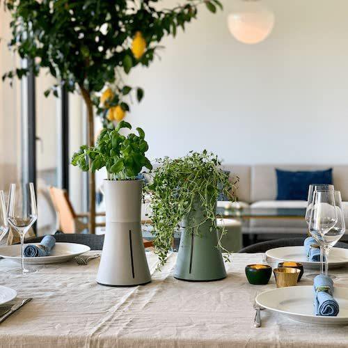 BOTANIUM(ボタニアム) 水耕栽培キット スモークホワイト ×