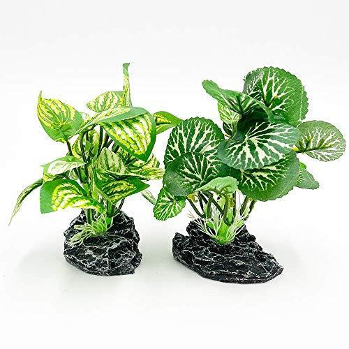 当店一番人気 レイアウト用品 Smoothedo Pets 水槽用 人工水草 10cm 小型水草 レイアウト 水槽 オーナメント 水槽内装 アクアリウム 水槽 飾り 観賞魚 熱帯魚 Www Virginiawaldenford Com