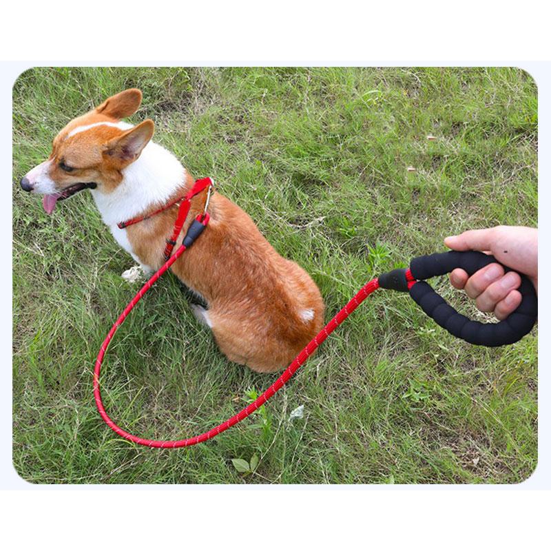 ペット犬用 ハーネス リード 首輪 3点セット3点セット 犬用 犬用