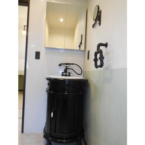 ミラーキャビネット 600 壁掛け ステンレス 両開き おしゃれ 四角 洗面