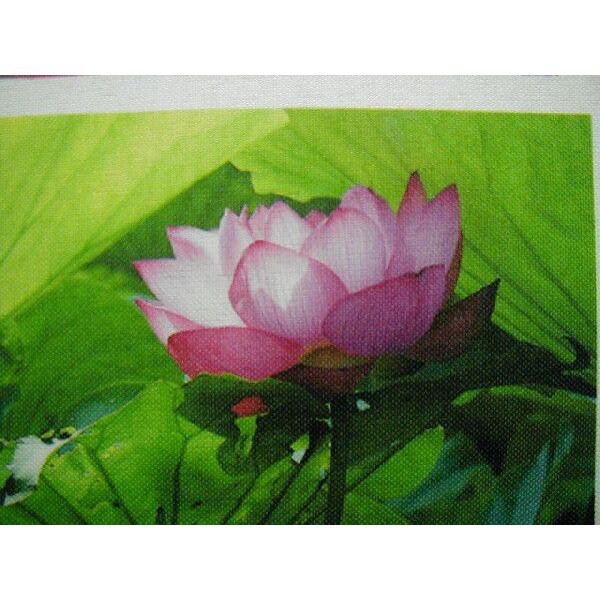 インクジェットトロマット　61ｃｍ×25ｍ　18,000円